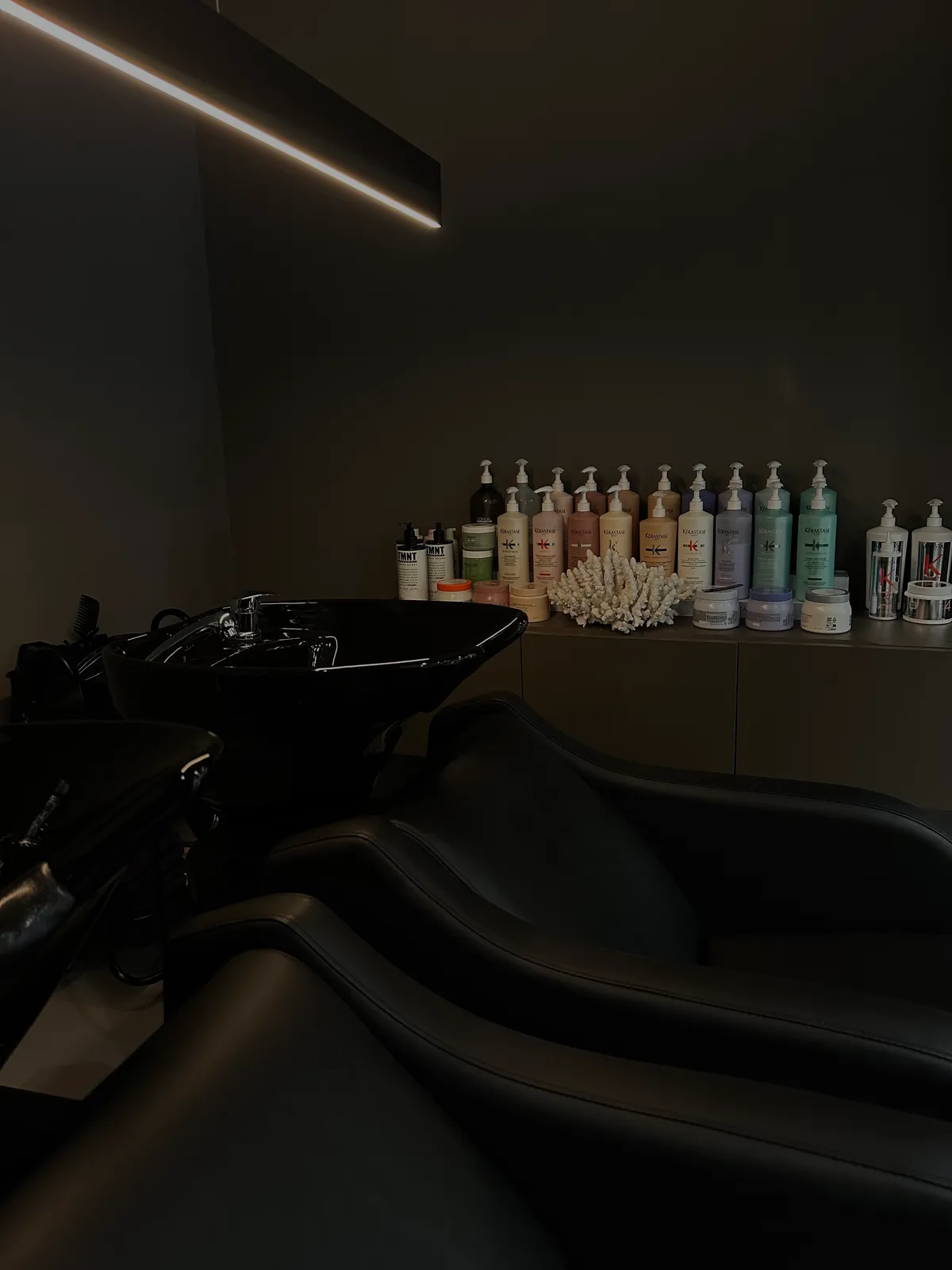 Salon 